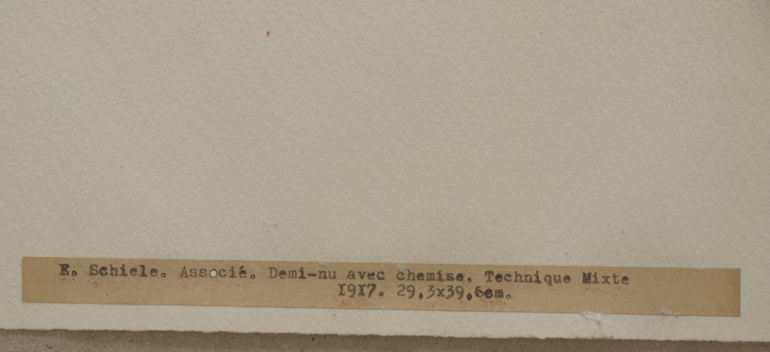 _SCHIELE TORSE7.jpeg