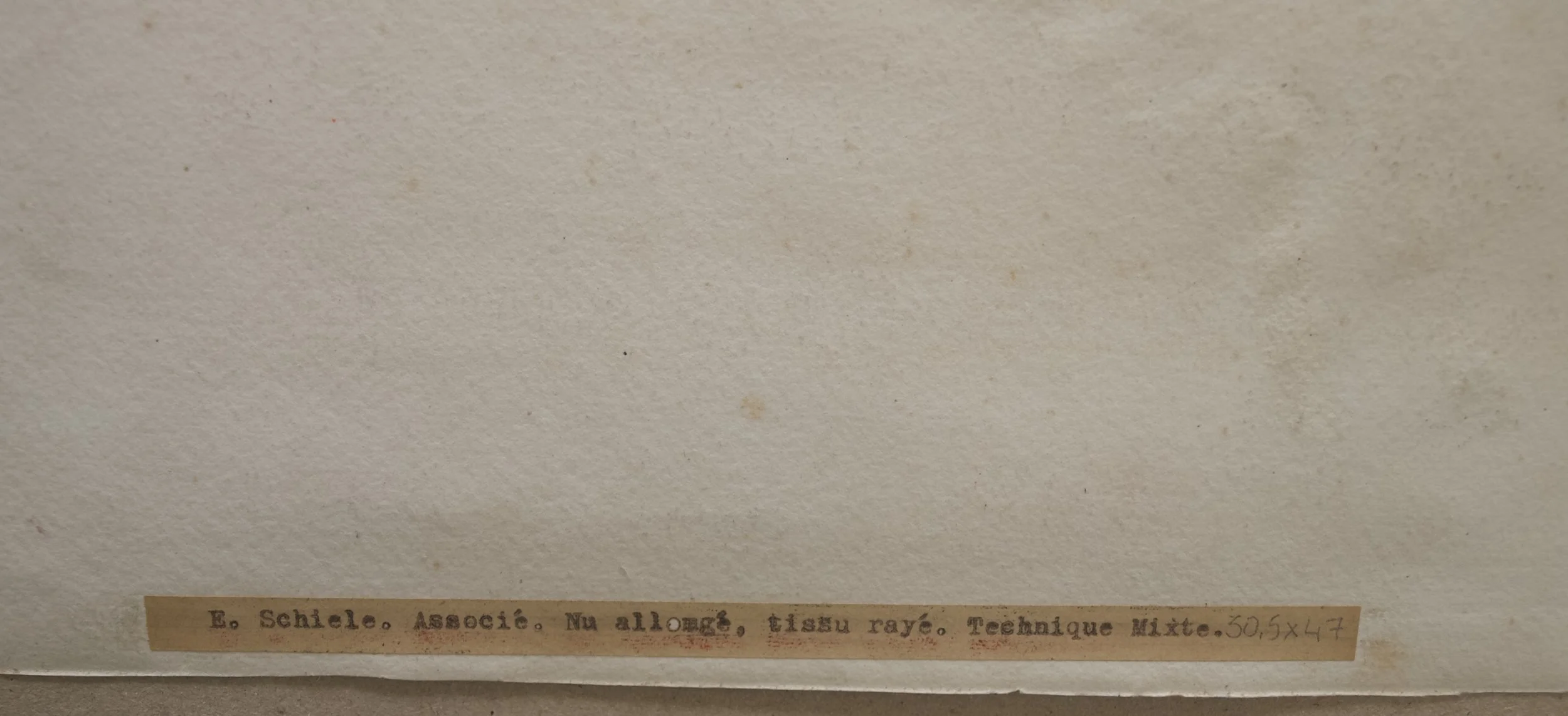 SCHIELE tissu rayéNU tissu rayé8.jpeg