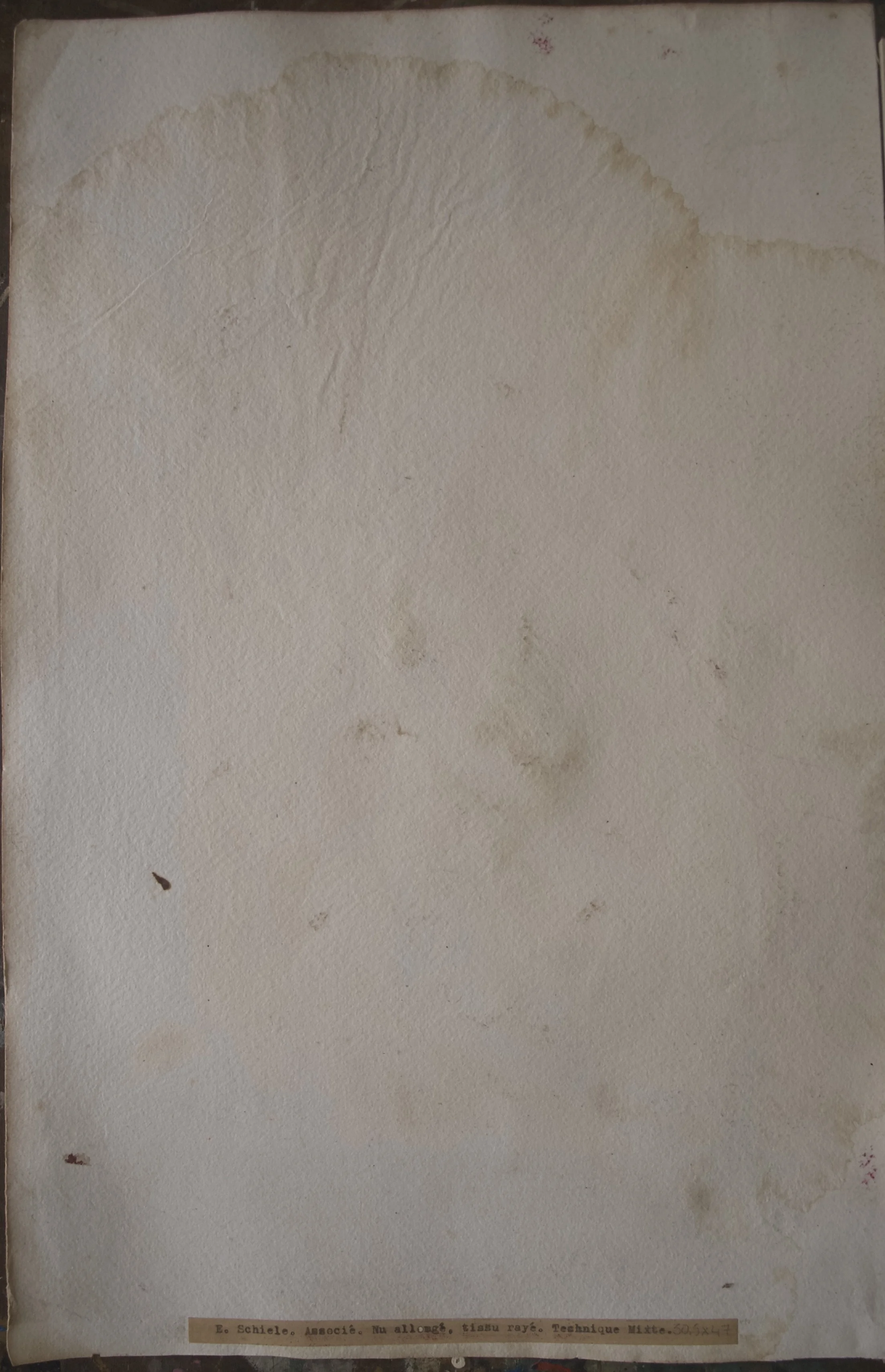 SCHIELE tissu rayéNu tissu rayé8 2.jpeg