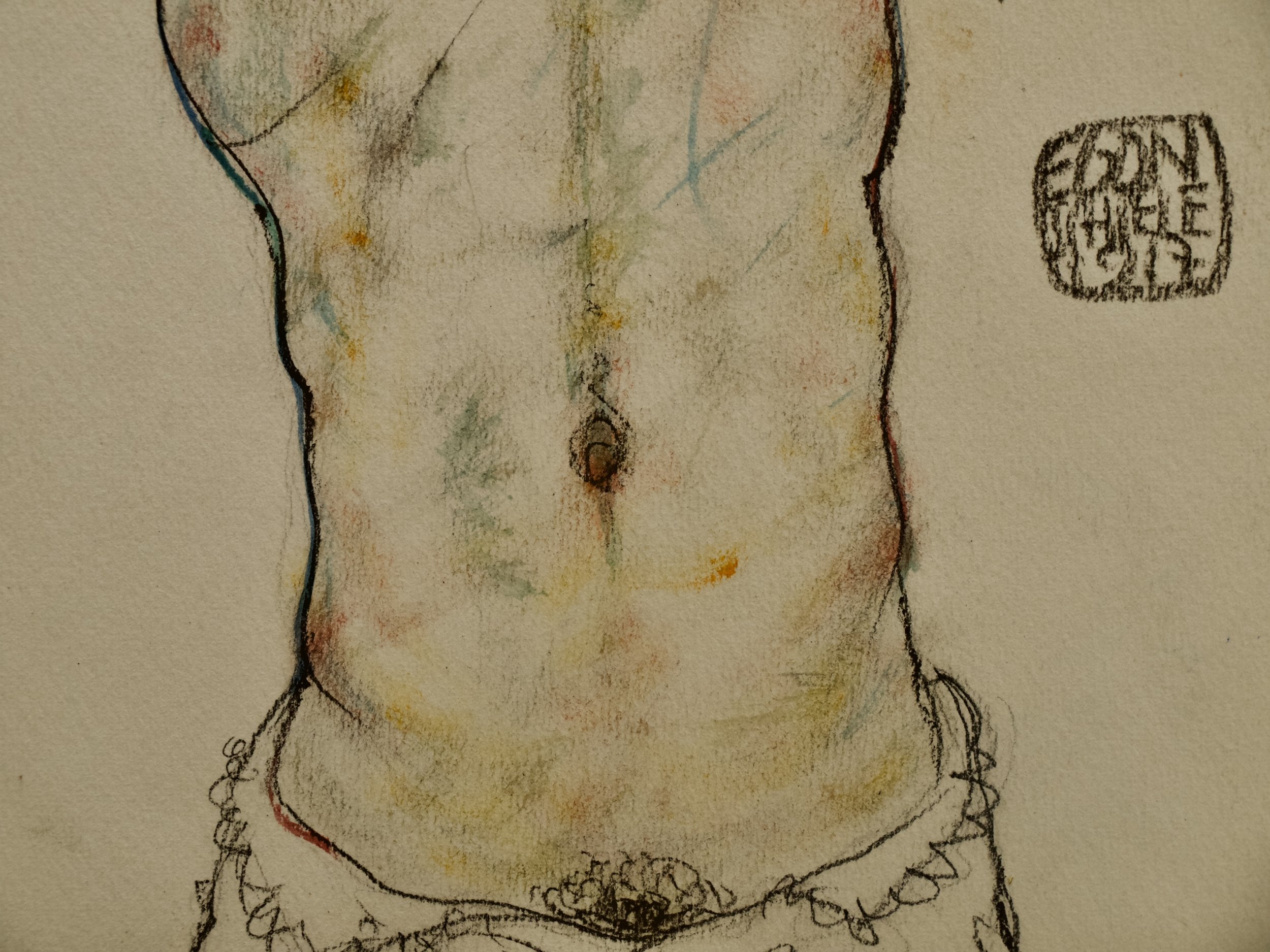 _SCHIELE TORSE9.jpeg
