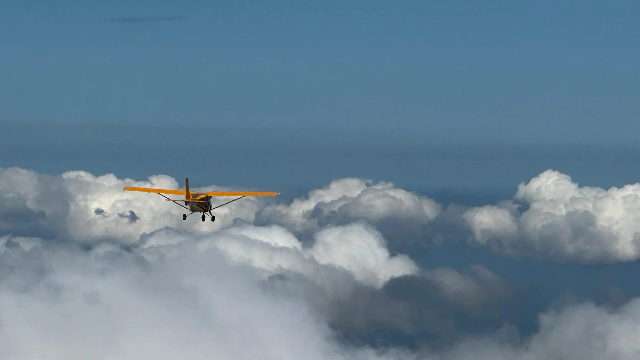 Pilot für einen Tag