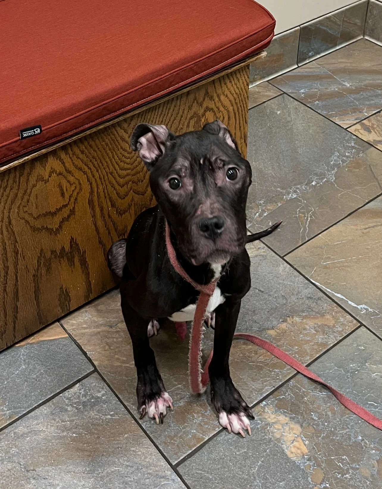 att.B4CpkGhxFcXIA_gfXPkbdTxsqEJZHflDeVf8TeNudog (1).jpeg