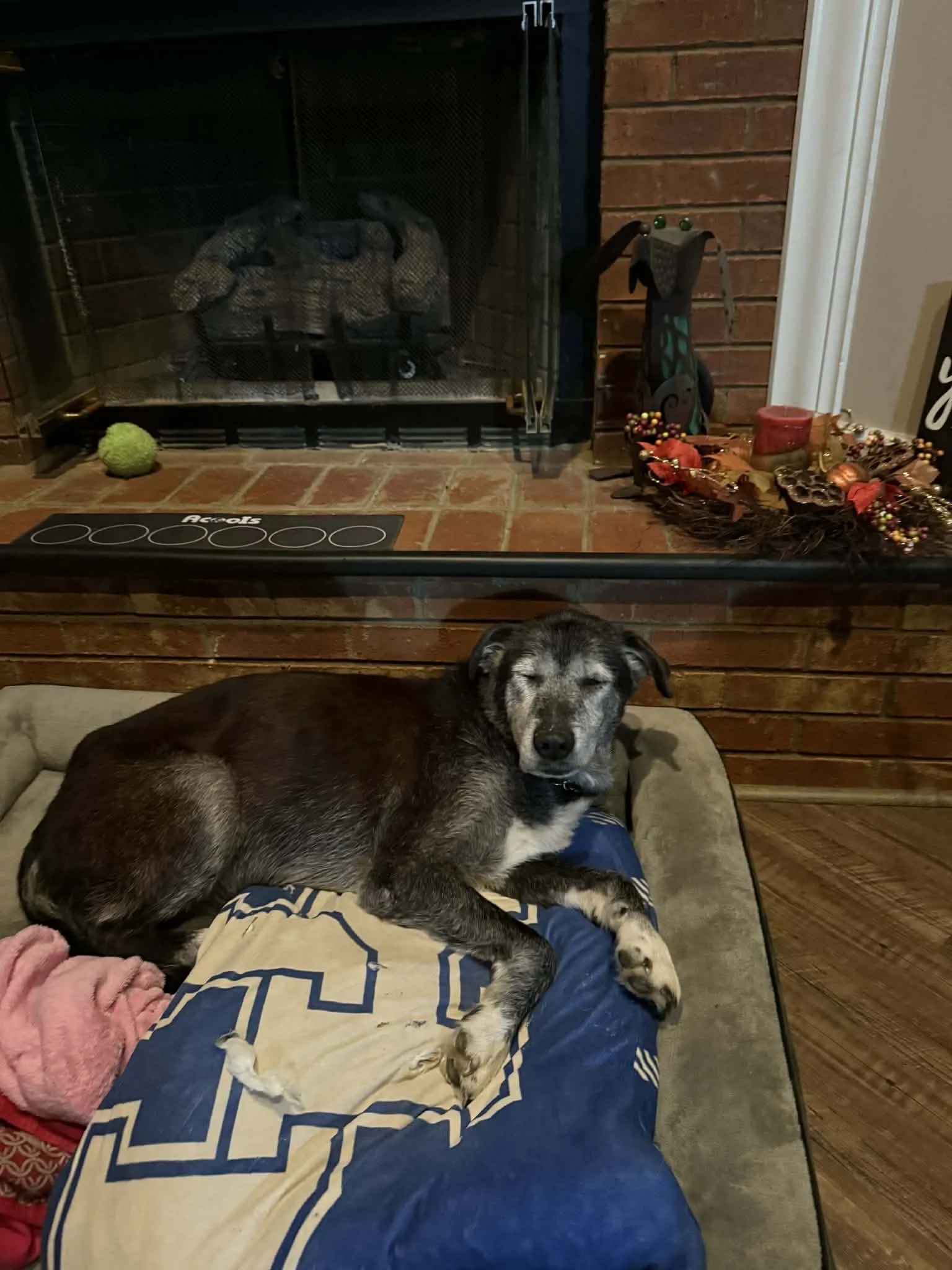 att.DqJcaljOzsYtvru17ROoIeSCAe3RP4HpeIWhwZpwOnM (1).jpeg