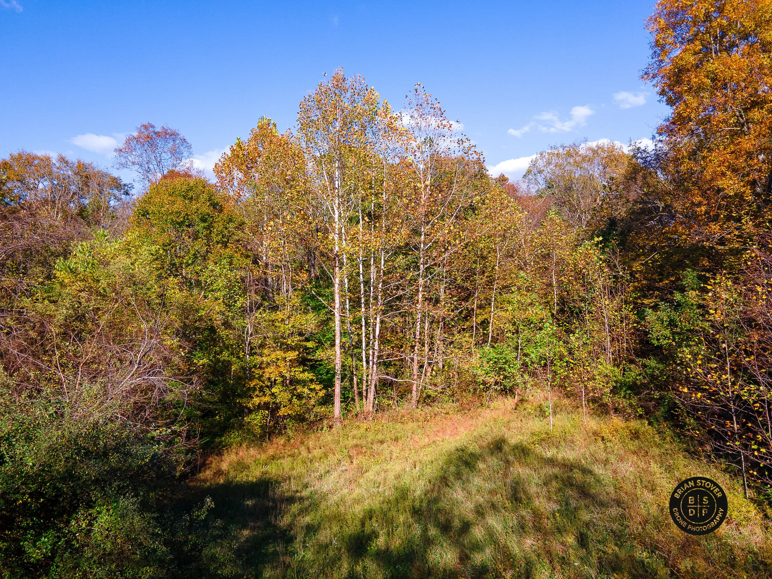 DJI_0496.jpg