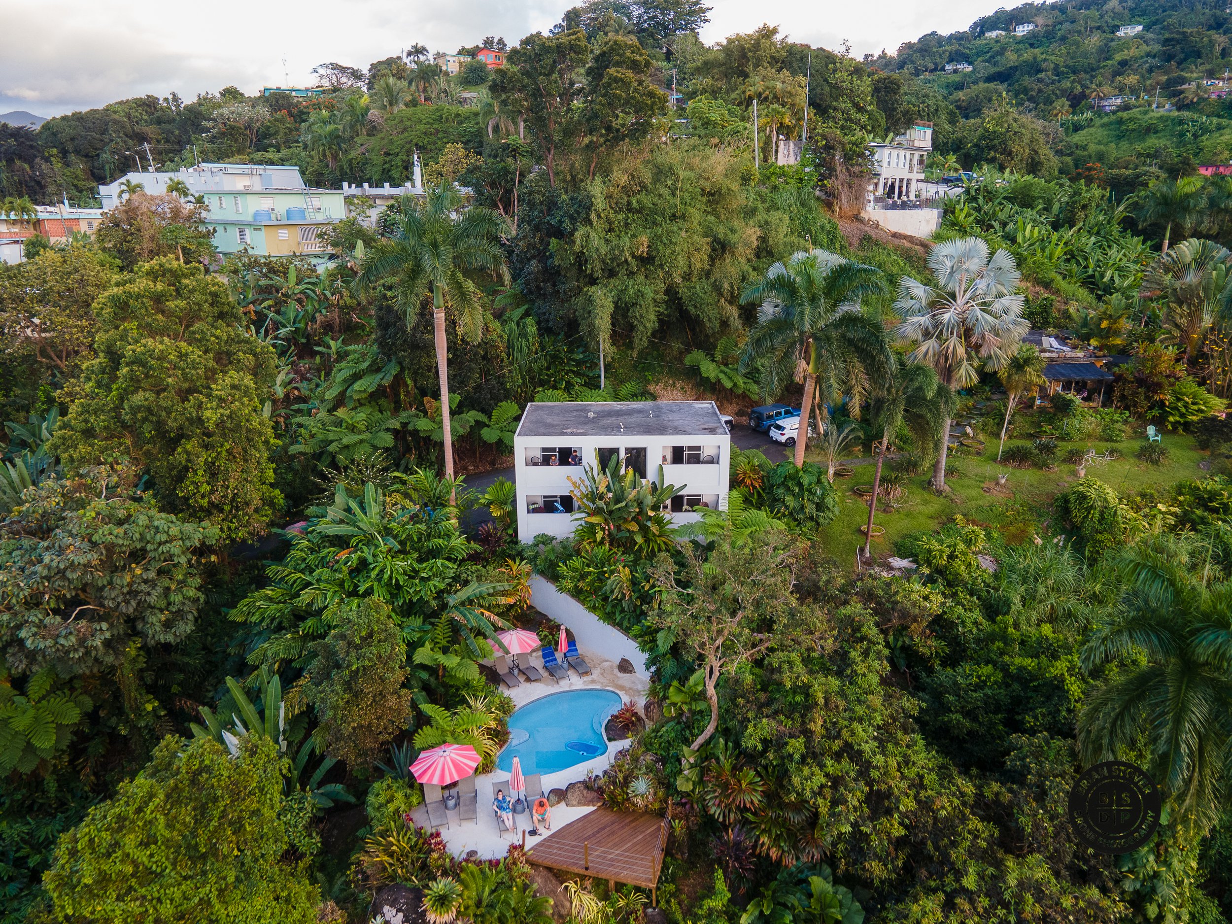 DJI_0553.jpg
