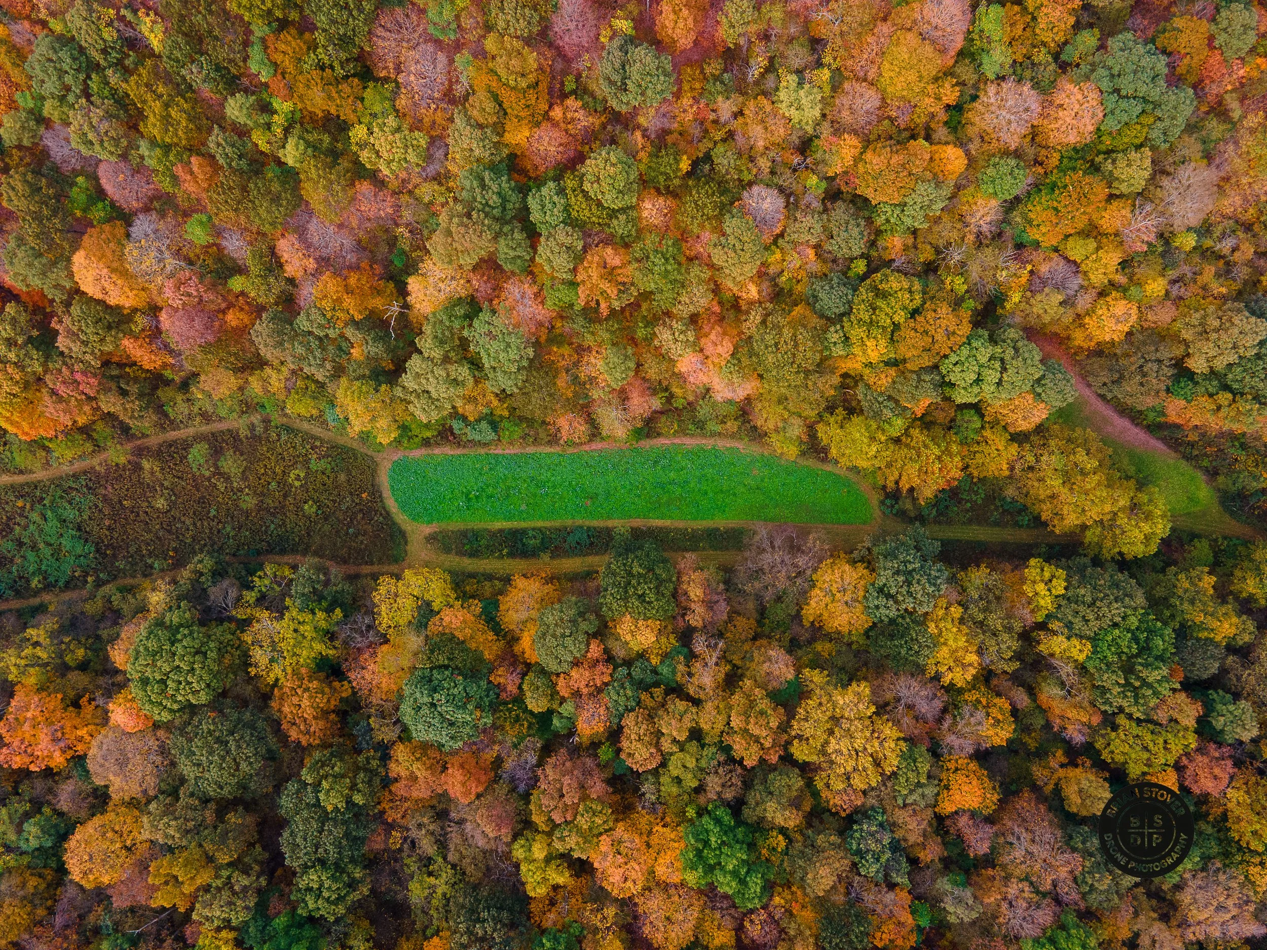 DJI_0355.jpg
