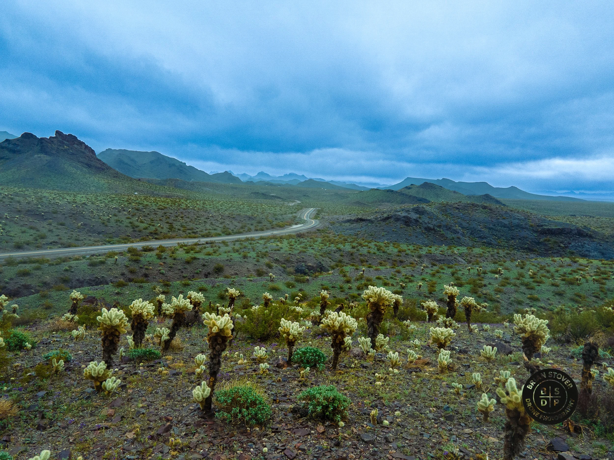 Route 66, Oatman, AZ, March 2023