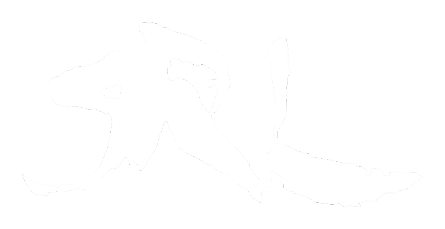 SRL Art