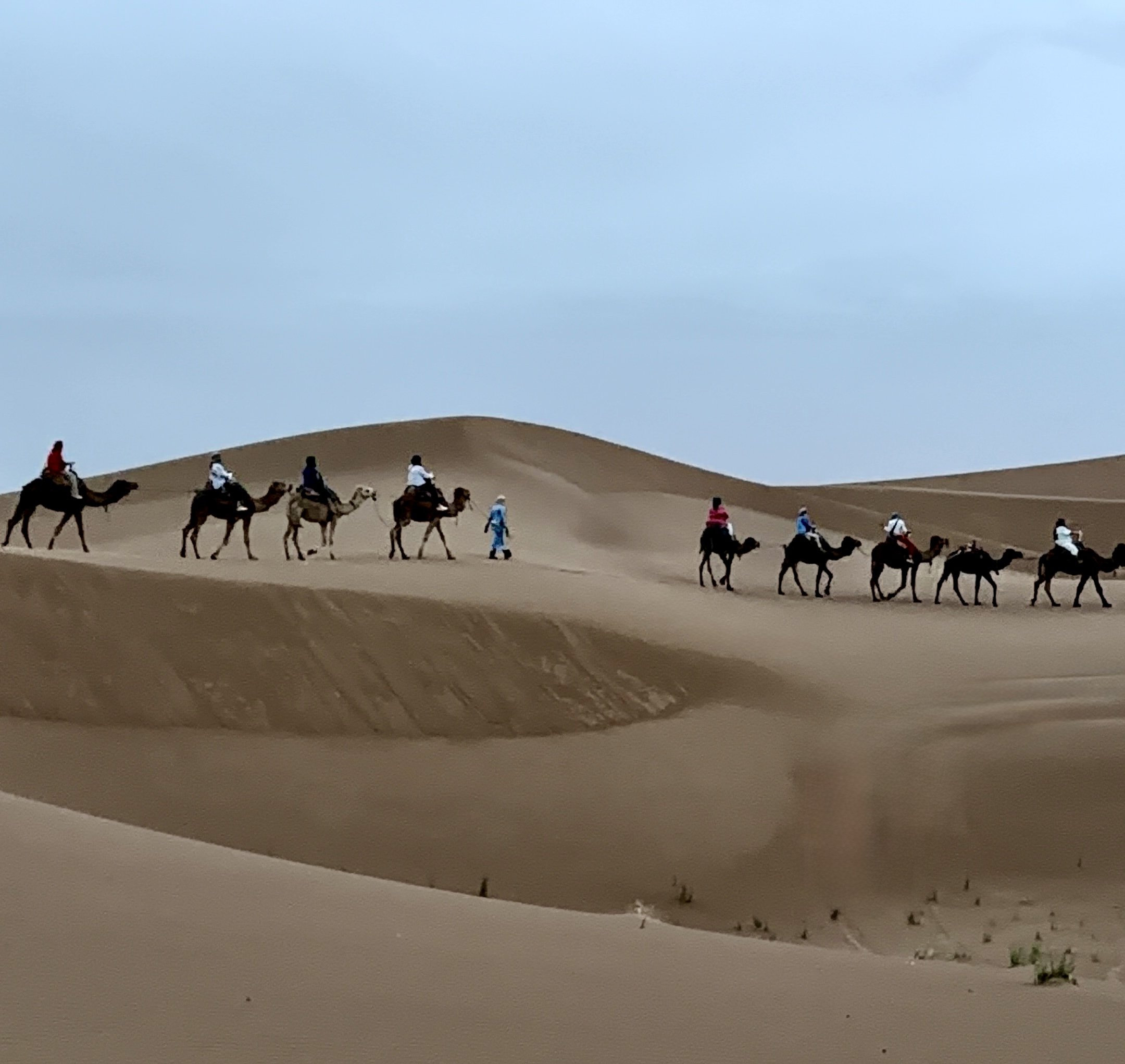 Morocco Slaps You Awake: What Happens When Women Step Out of the Comfort Crisis
