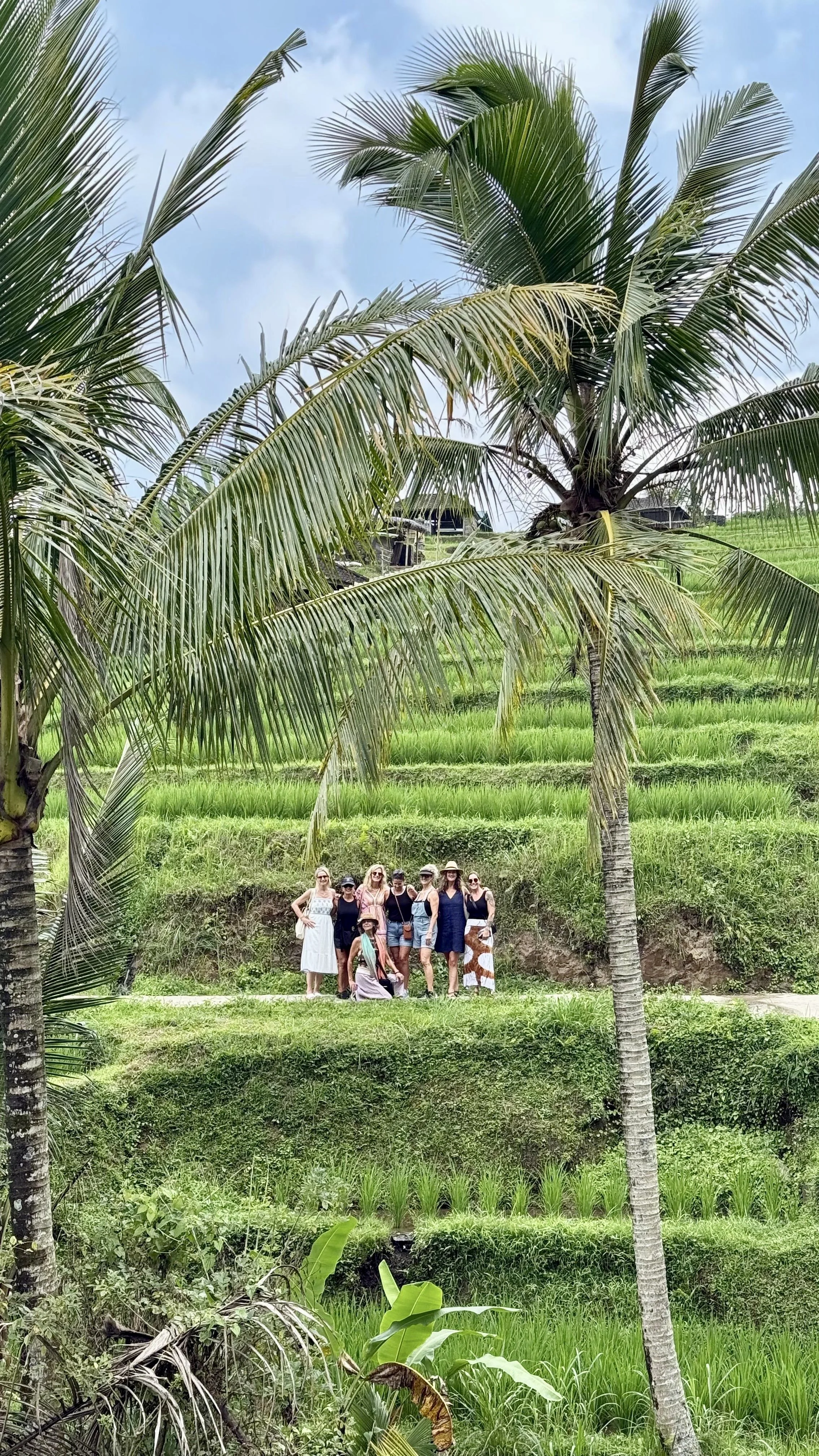 Group of people standing on a path next to green rice paddies, with tall palm trees and a cloudy sky in the background.
