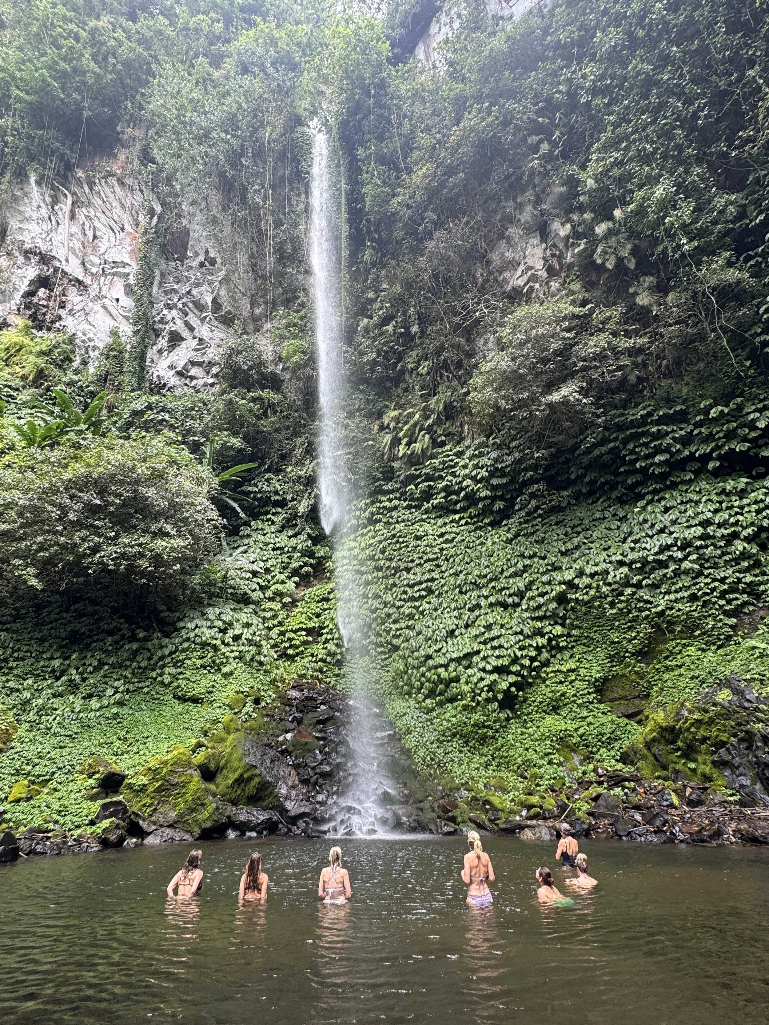 People swimming in a natural pool at the base of a tall waterfall in a lush, green forest.