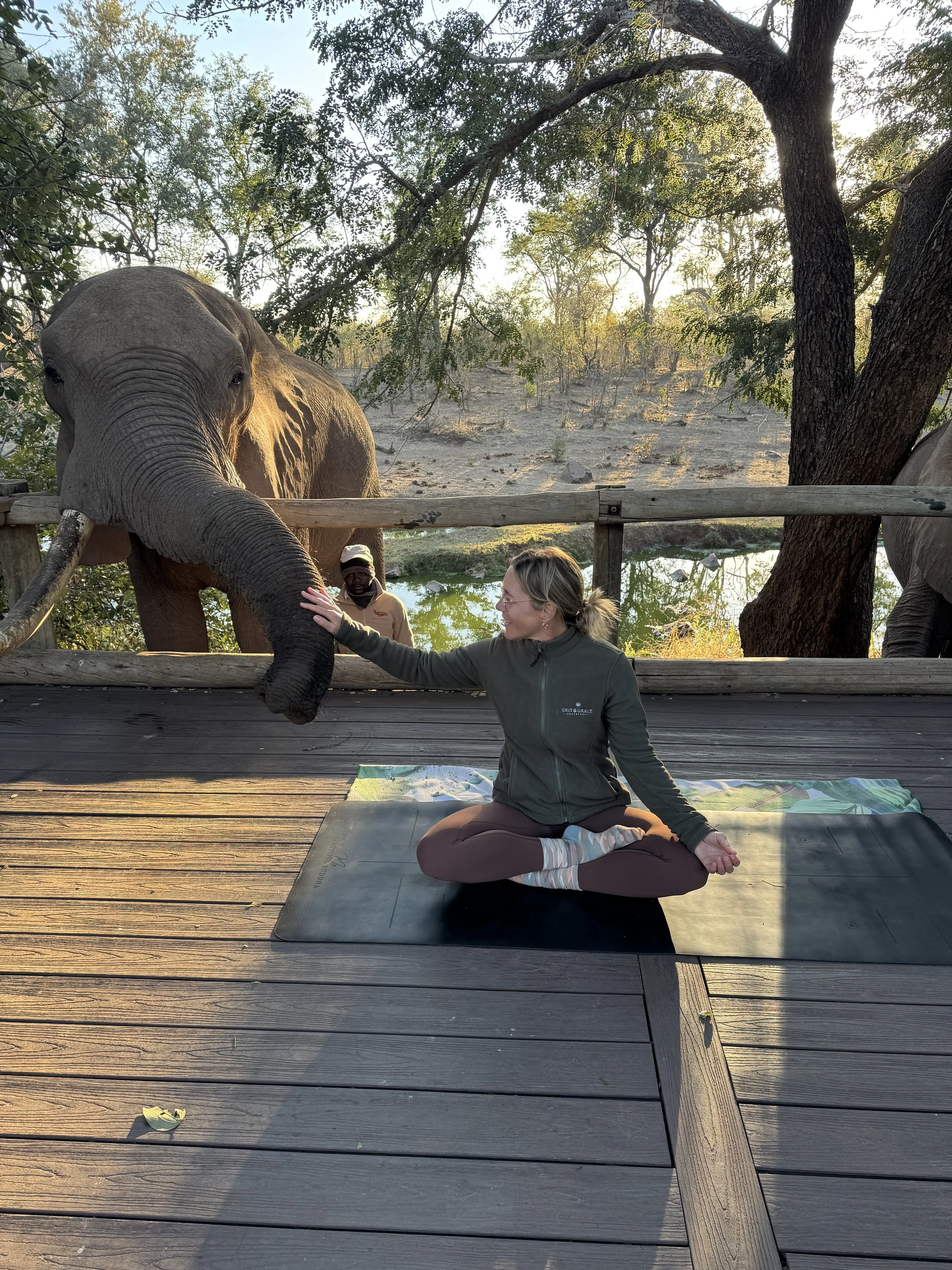 A woman practicing yoga on a mat outdoors, reaching out to an elephant that is gently touching her hand with its trunk, with trees and a water body in the background during sunset.
