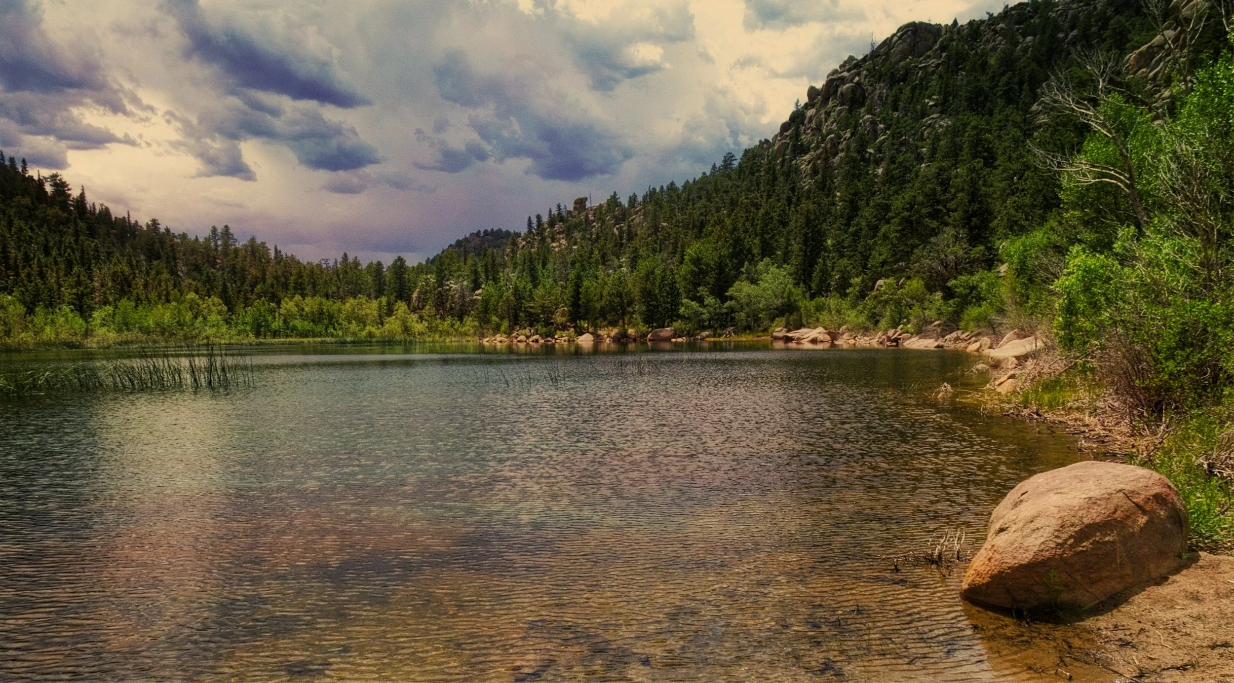 A river surrounded by pine trees and rocky hills, with a cloudy sky overhead.