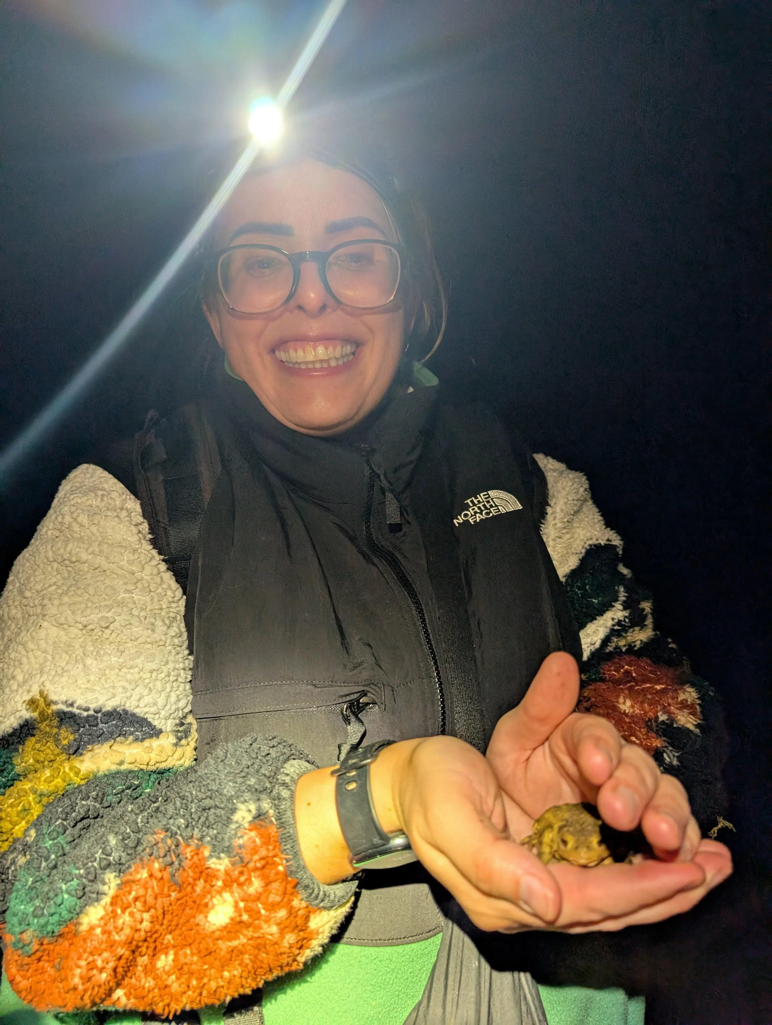 Ecological Clerk of Works (ECoW)