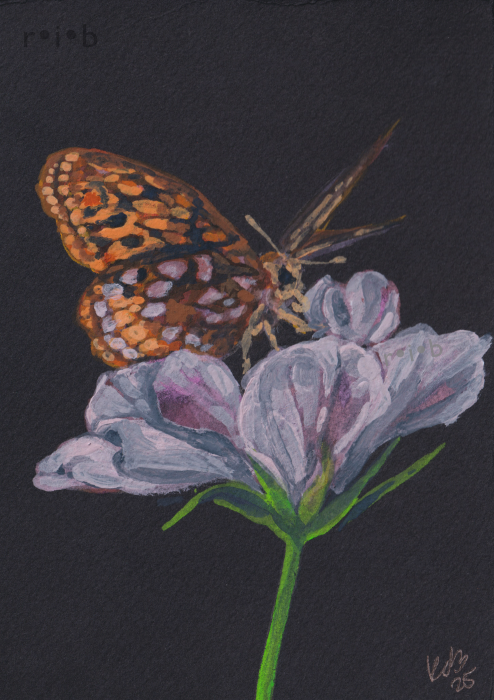 gouache painting of an orange butterfly on a cosmos flower
