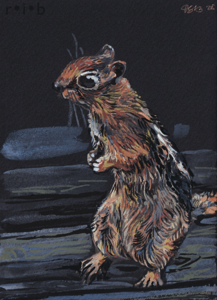 gouache painting of a ground squirrel politely asking for more seeds