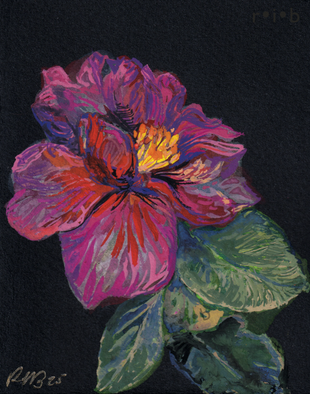 gouache painting of a pink rose