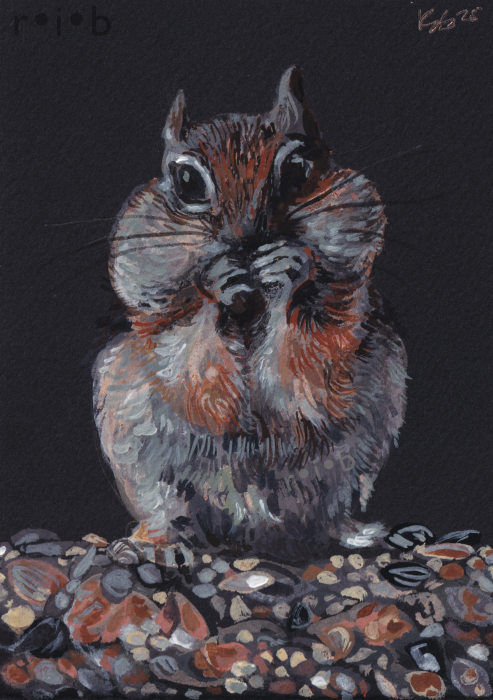 gouache painting of a chipmunk with stuffed cheeks