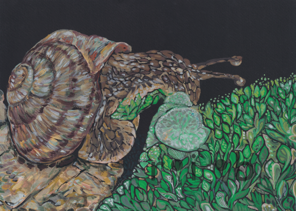 close up of a tiny snail crawling on moss - gouache