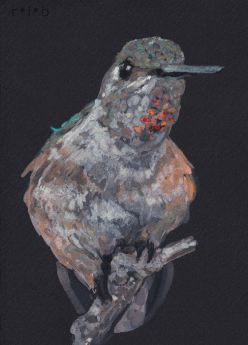 hummingbird2_sm_wm.png