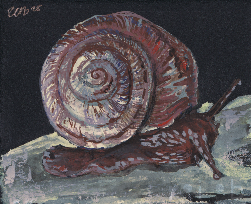 a snail friend on a branch - gouache