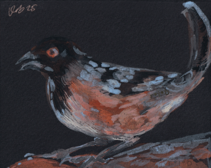 towhee_sm_wm.png