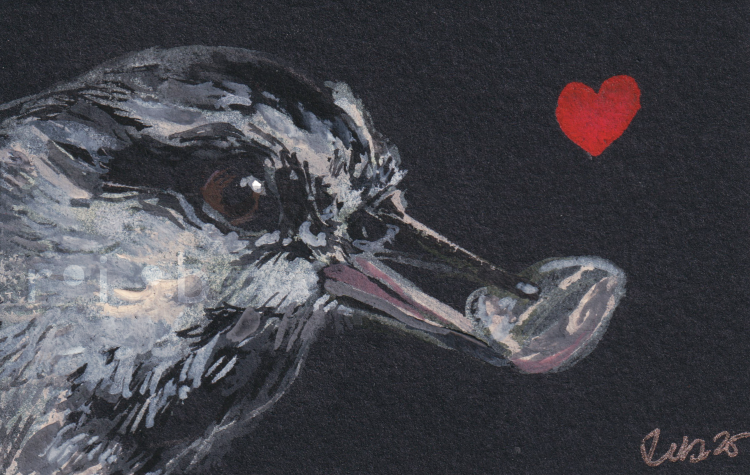 chickadee with a sunflower seed and heart - chickadees gift - gouache