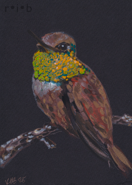 hummingbird3_sm_wm.png