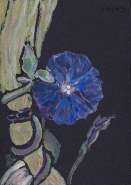 morning glory_sm_wm.png