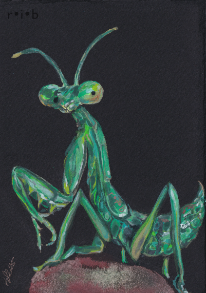 gouache painting of a tiny green preying mantis