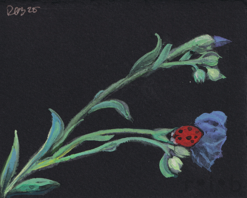 ladybug_flower_sm_wm.png