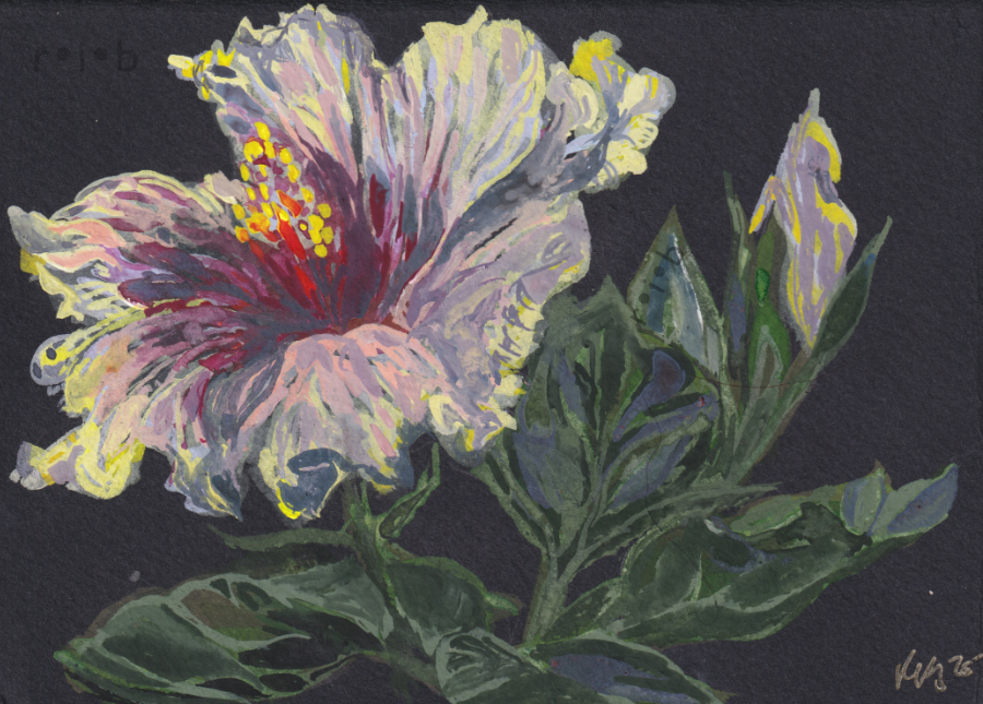 gouache painting of a light yellow hibiscus flower