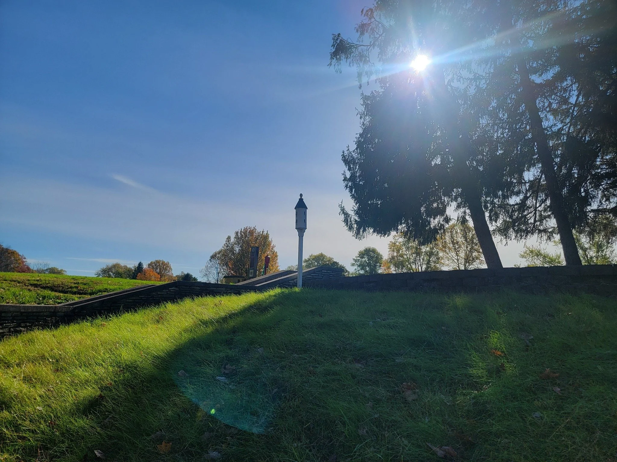 Sun shining over a grassy hill with a large tree and a street lamp, clear blue sky in the background.