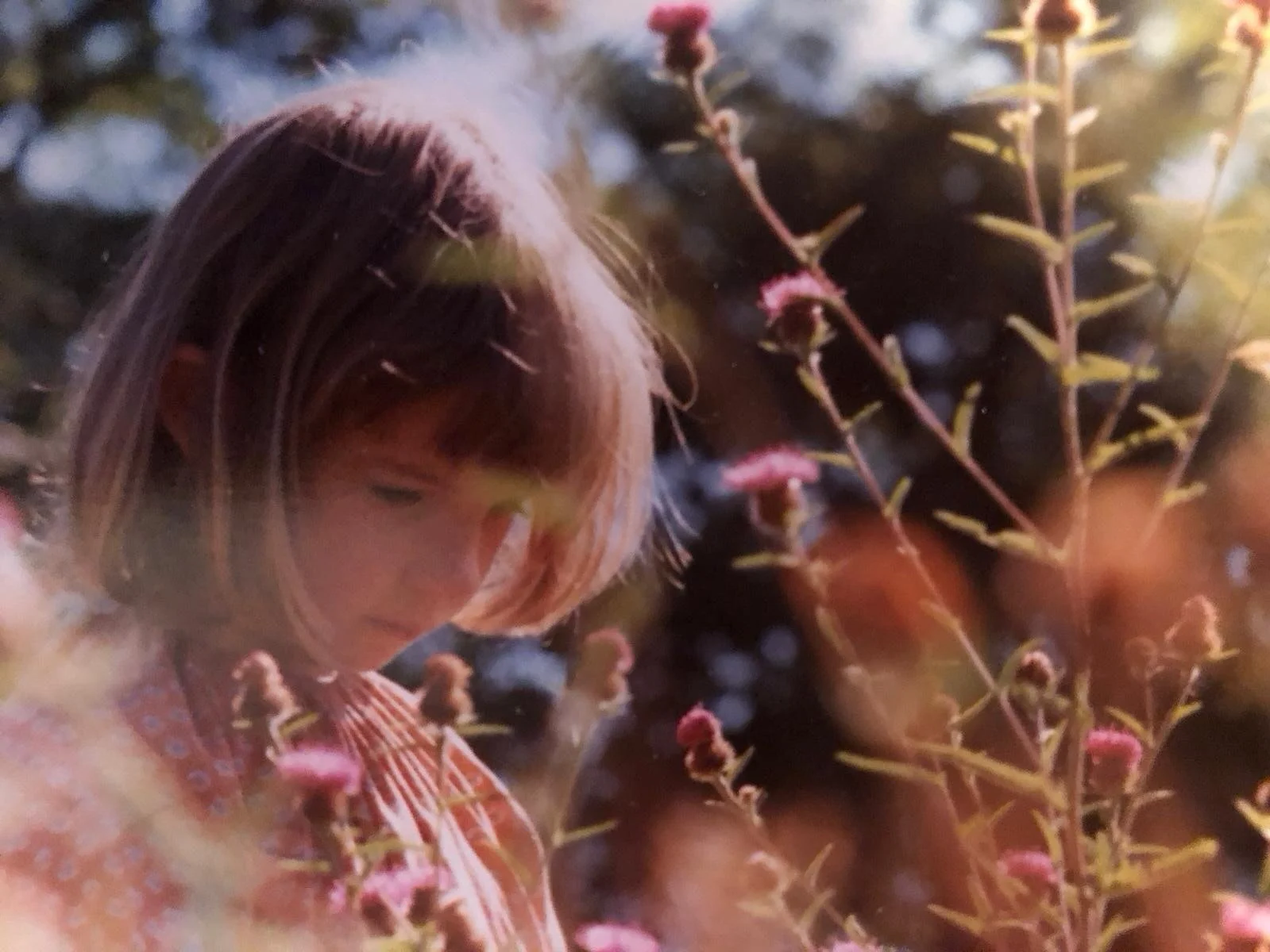 A person with shoulder-length brown hair looking down among pink and purple flowering plants in natural sunlight.