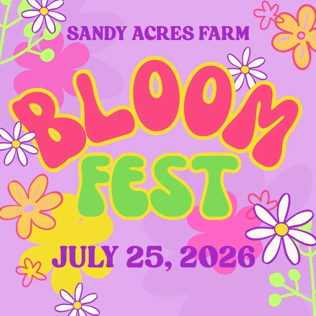 Bloom Fest Morning Session