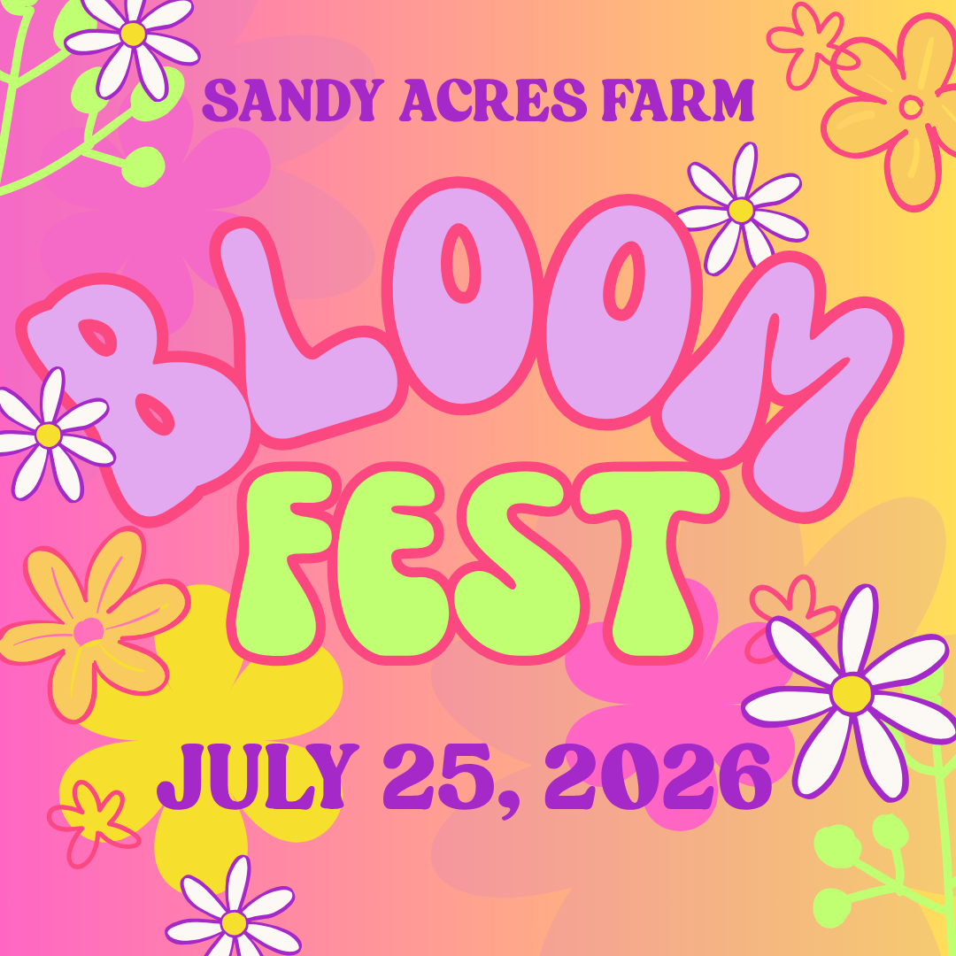 Bloom fest Golden Hour Session