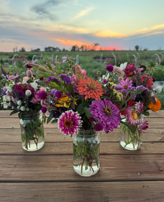 September 12th Golden Hour Upick 