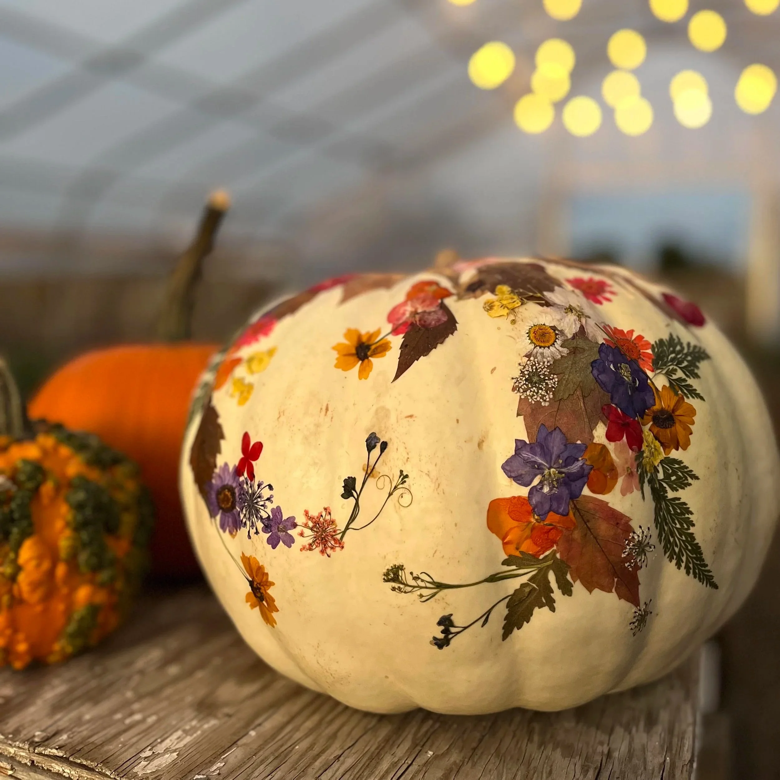 floral+pumpkin.jpg
