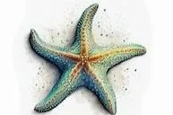 Blue+star.jpg
