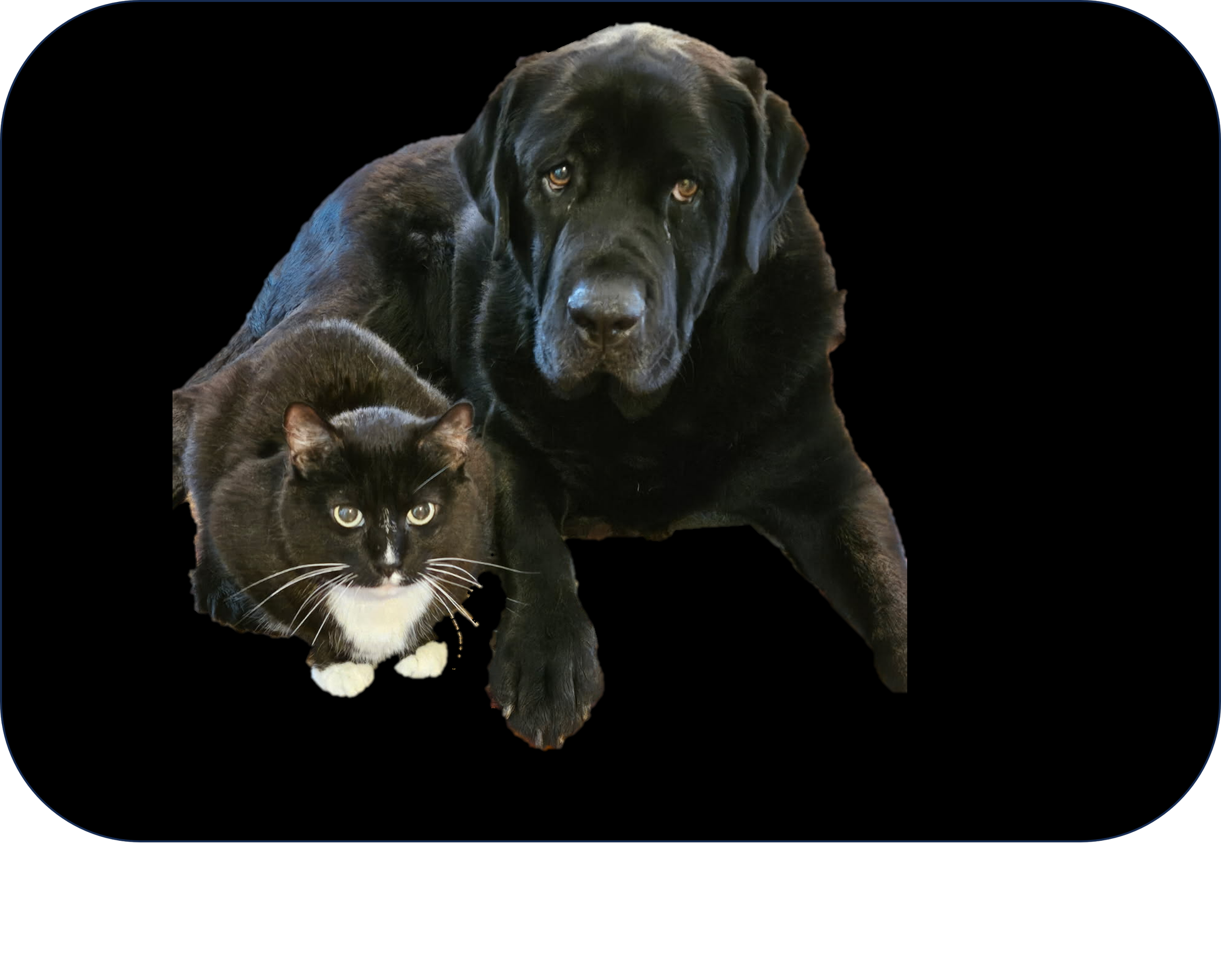 DukeandMK2_black background.png