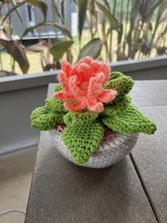 Cactus Flower Peach.jpg