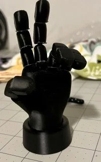3D Articulated hand black.jpg