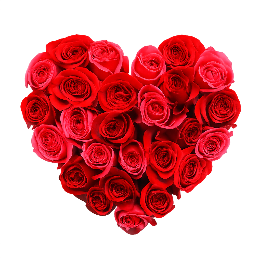 Rose heart silhouett.png