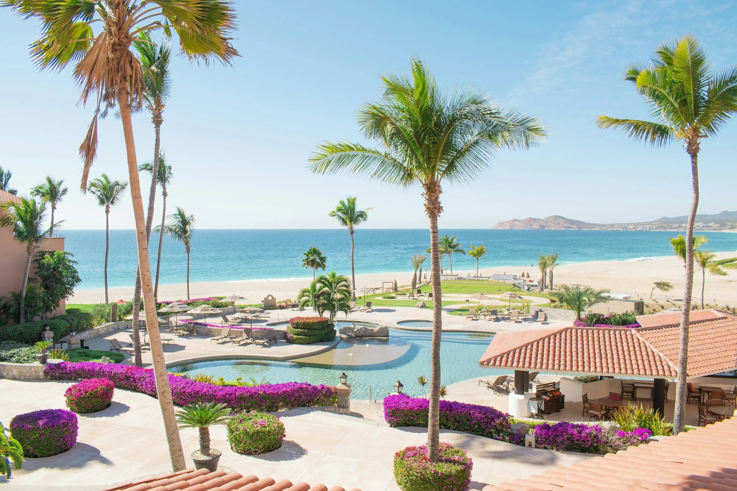 A luxurious seaside resort with a swimming pool surrounded by pink and purple flowering bushes, tall palm trees, and lounge chairs, overlooking the ocean and distant mountains under a clear blue sky.