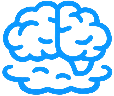 Outline of a brain in blue