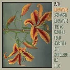 Rave Review: Xylitol - Blumenfantasie