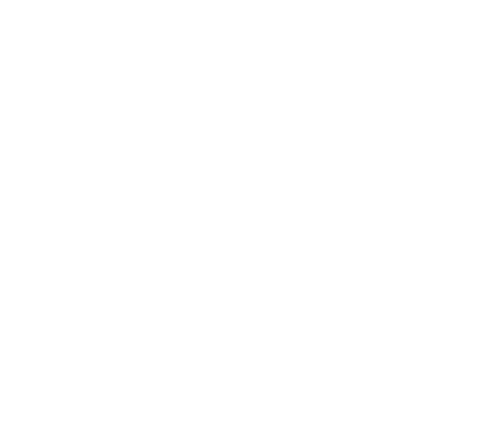 Raving Lunatic Records