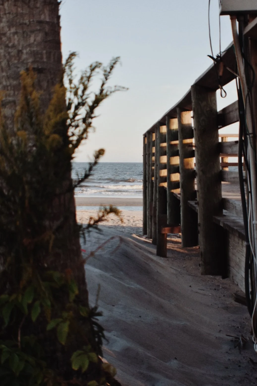 View of a beach through a gap between a tree trunk on the left and a wooden railing on the right, with sand, ocean waves, and a clear sky in the background.