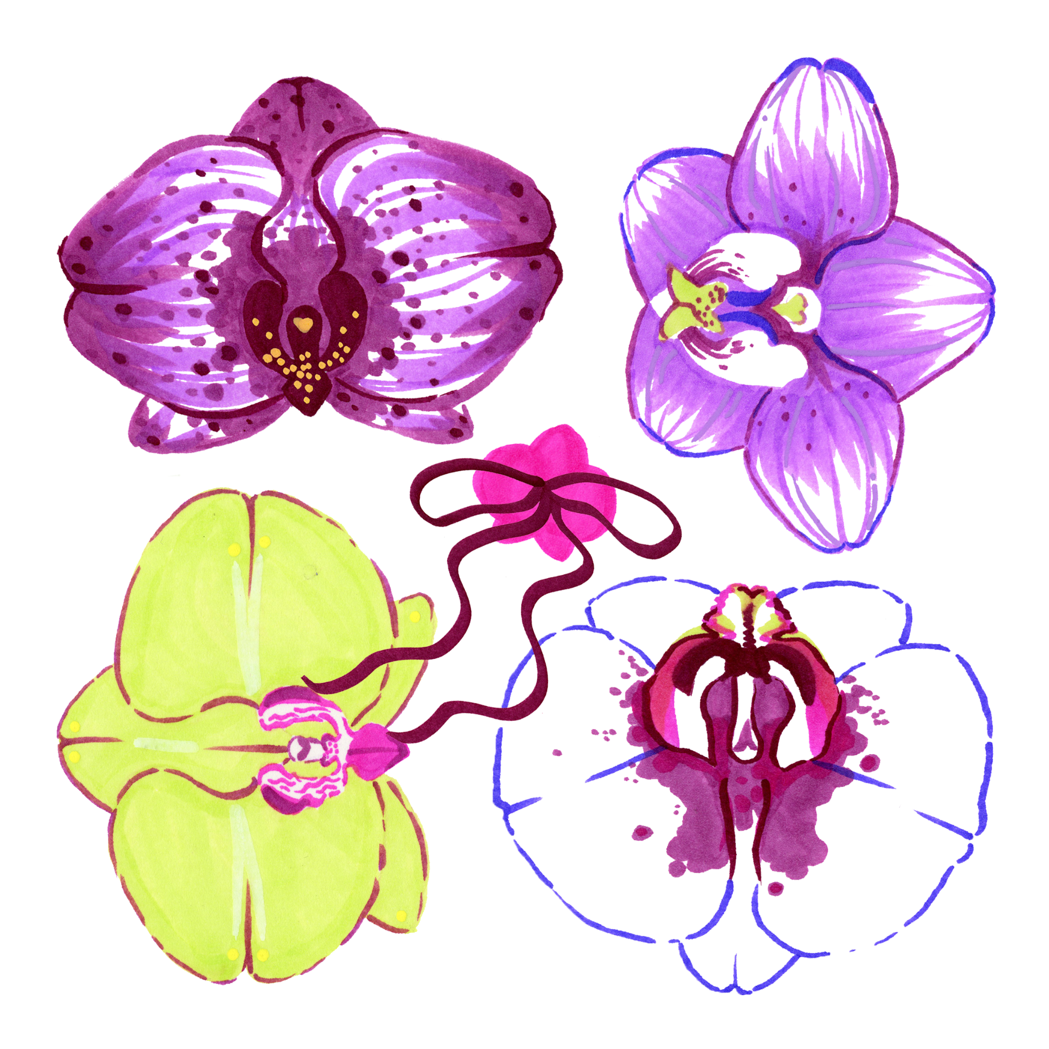 Flower Power_orchiddesign_EllaPerry.png