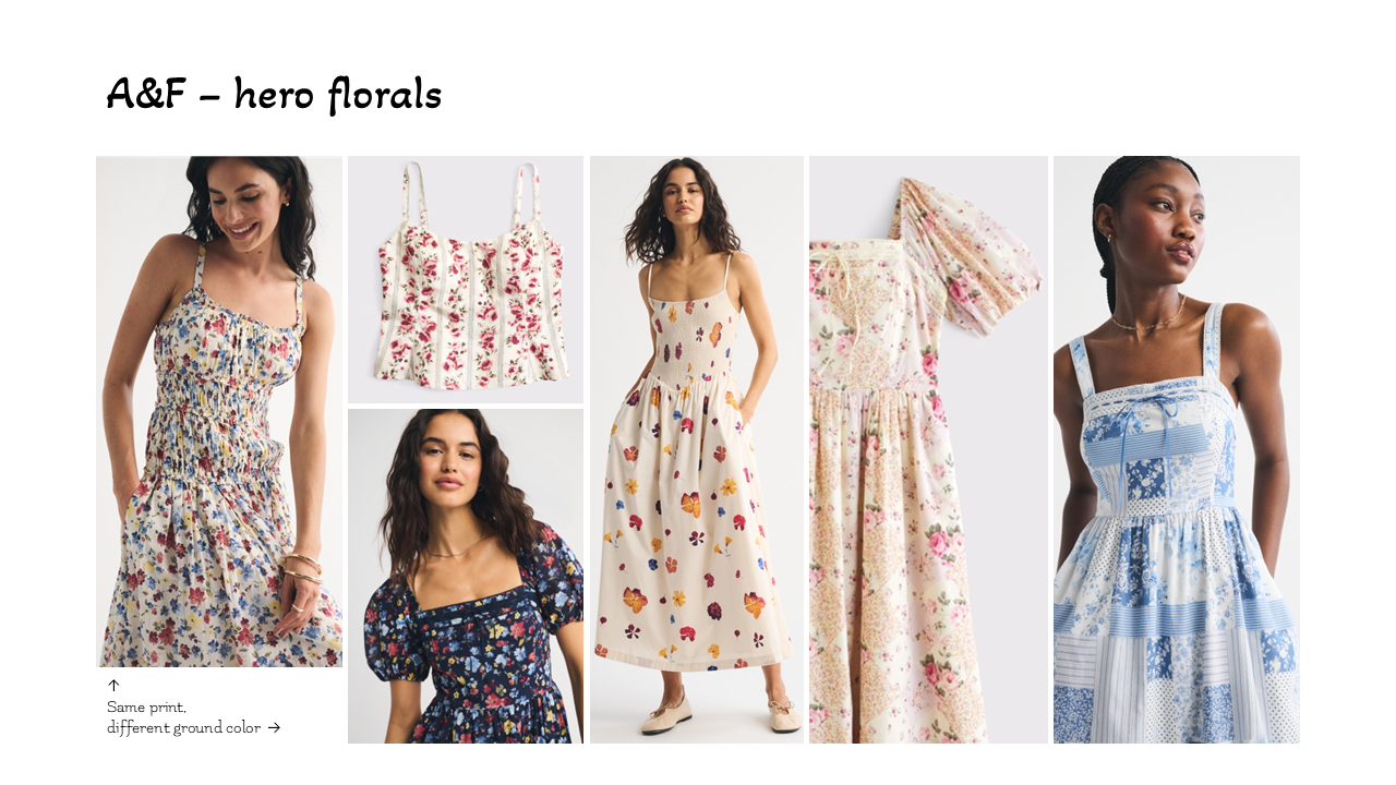 Mountain Meadow_Slide6_EllaPerry.PNG